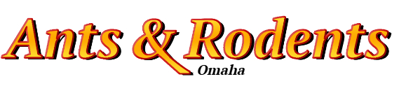 Omaha Ant Exterminator & Rodent Control Company Logo